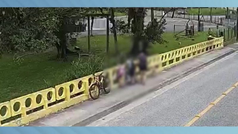 Semana foi marcada por notícia de cachorro jogado de ponte em Joinville; foto mostra momento em que mulher lança o animal sobre a ponte