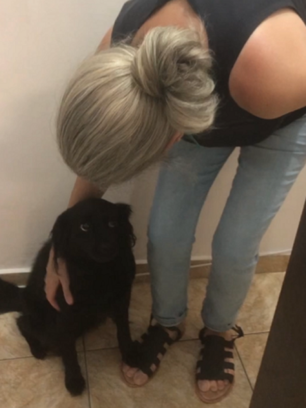 Cachorro impedindo sua avó de ir embora