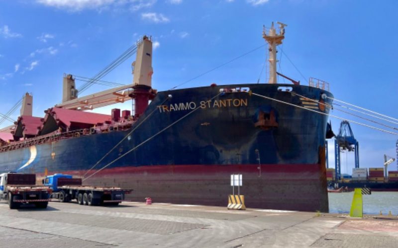 Complexo portuário do rio Itajaí-Açu durante a tarde