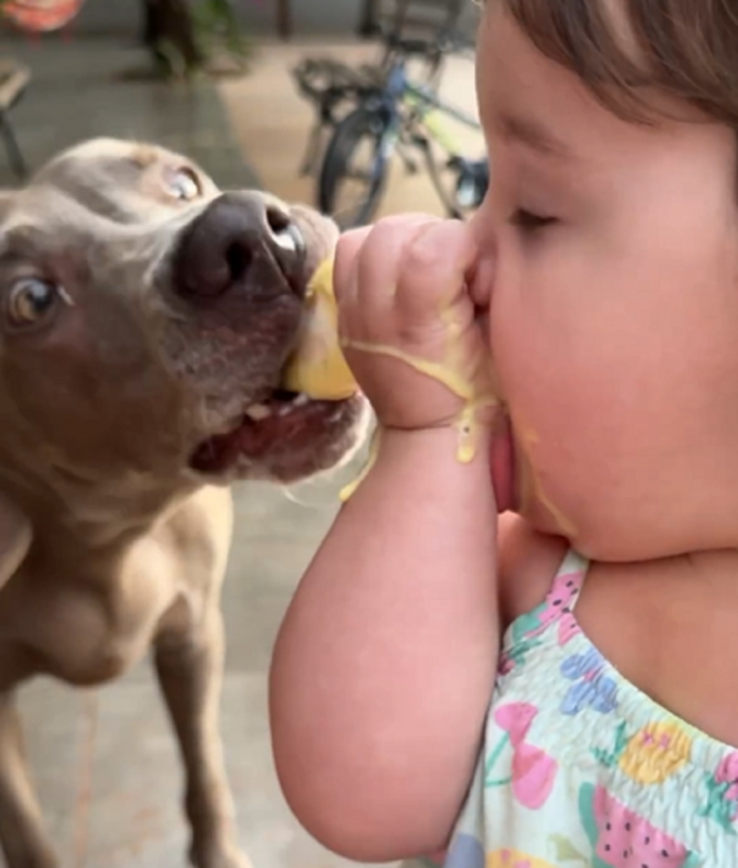 Cachorro rouba picolé de criança em um momento de distração - Foto: Pamella Ferrari/Reprodução/ND