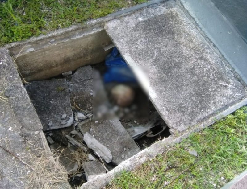 Foto mostra túmulo quebrado e crânio exposto