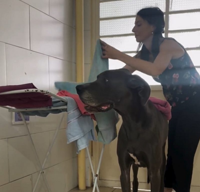 Vídeo viraliza com um auxiliar de lavanderia diferenciado - Foto: Áquira e LeBron/ Reprodução/ND