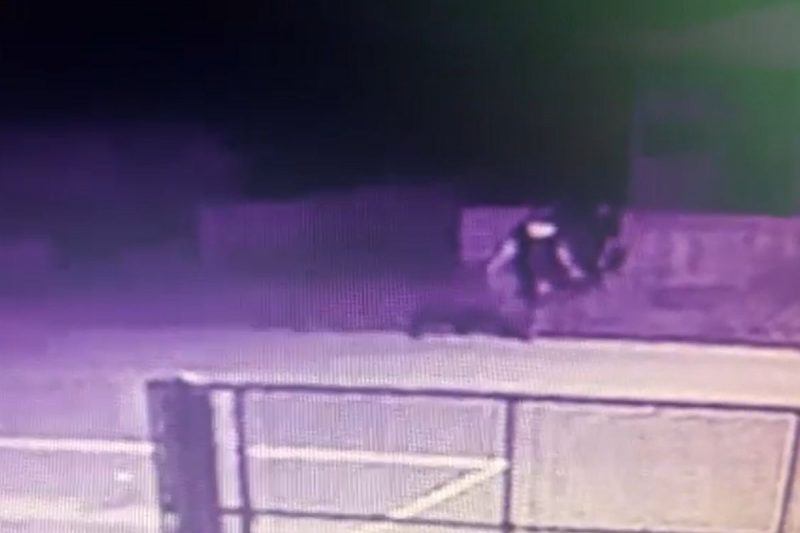 Menina foi estuprada em Joinville 