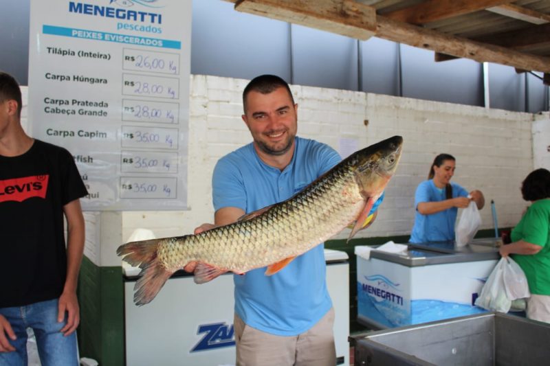 Feira do Peixe começa nesta semana 