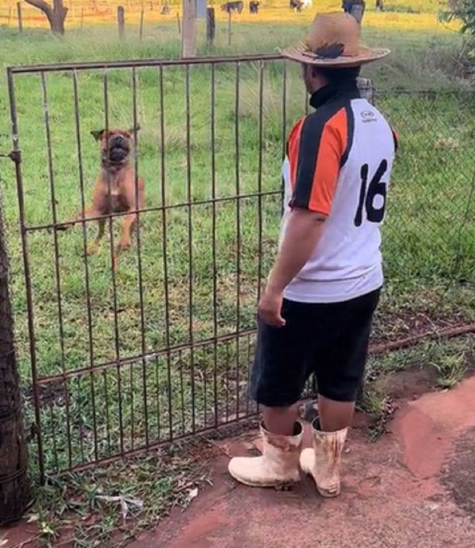 Vídeo hilário já conta com mais de 300 mil curtidas - Foto: Dielen Ferreira/Reprodução/ND