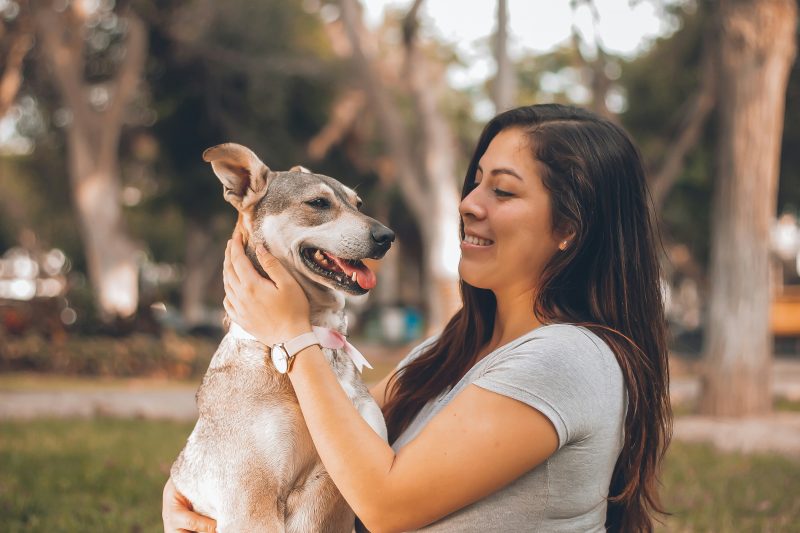 Humanos transmitem vírus para pets, conforme estudo científico 