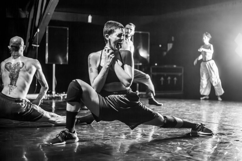 Al&eacute;m da participa&ccedil;&atilde;o no Holland Festival, na Holanda, o Grupo Cena 11 far&aacute; uma tour por cinco cidades catarinenses com o espet&aacute;culo “Eu n&atilde;o sou em em mim: Estado de Natureza”. – Foto: Cristiano Prim/Divulga&ccedil;&atilde;o