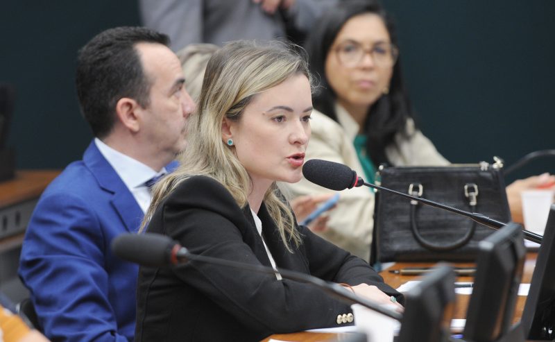 Deputada federal Julia Zanatta (PL-SC) - Foto: Renato Araújo/Câmara dos Deputados/ND