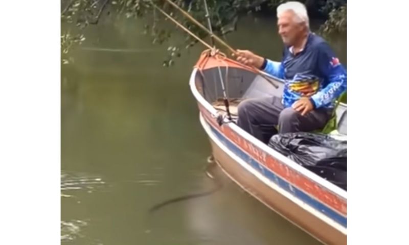 Jararacuçu engana pescador que não percebe sua presença