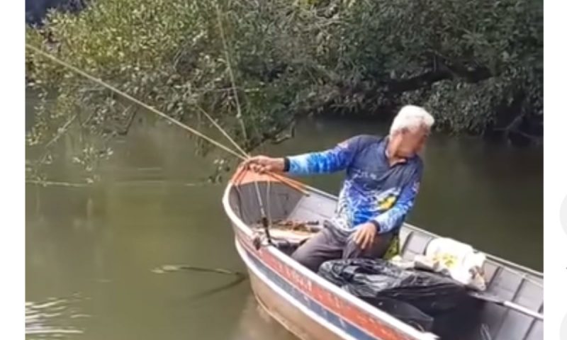 Cobra chega por um lado, mas pescador olha para o outro – Foto: Reprodu&ccedil;&atilde;o