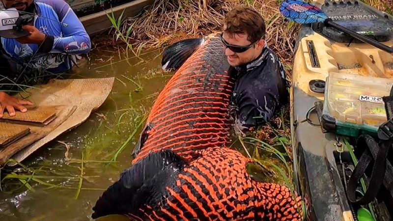 Pescador pega verdadeiro monstro dos mares 