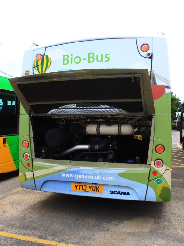 Ônibus de cocô ganha pessoas ao redor do mundo 