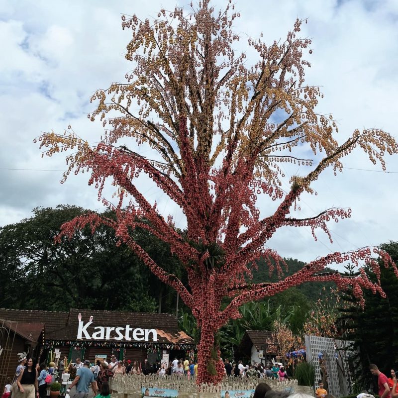 Osterfest, em Pomerode, e sua famosa árvores com 100 mil ovos &#8211; Foto: Moacir Pereira