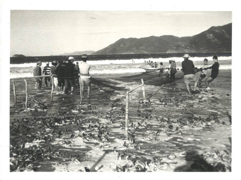 Pesca da Tainha no Pântano do Sul (1973) &#8211; Foto: Arquivo Pessoal de Franklin Cascaes/Divulgação