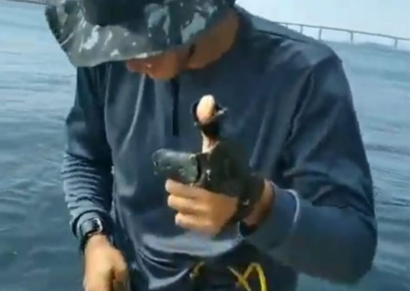 Pescador carioca impressiona na Praça Mauá