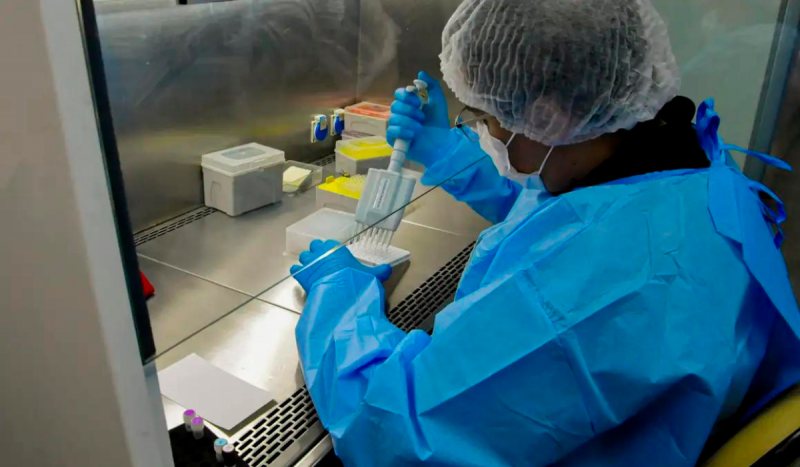 Pessoa fazendo teste laboratorial para ilustrar matéria sobre vacina contra HPV no Brasil