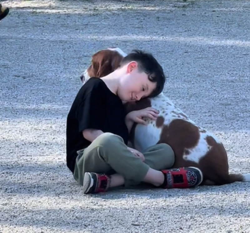 Cachorro e criança são flagrados em um momento lindo de amizade - Foto: Ari Cristina/Reprodução/ND