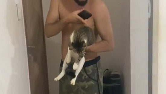 ‘Confus&atilde;o felina’: tutor troca gato e traz do vizinho para casa por engano