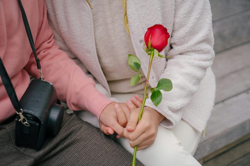 casal de mãos dadas sentado em um banco e a mulher está com uma rosa vermelha na mão 