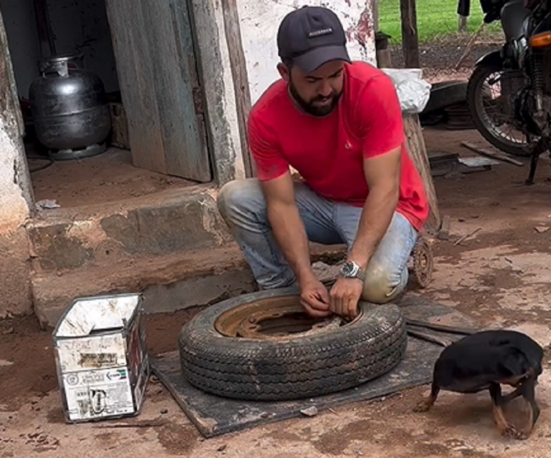 Pinscher ativando o "modo furacão"