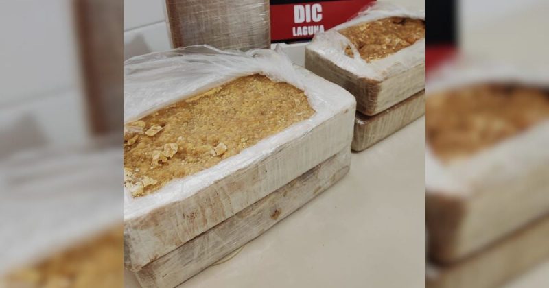 Quantidade de crack &eacute; considerada a maior registrada na cidade pela Pol&iacute;cia Civil – Foto: Divulga&ccedil;&atilde;o/Pol&iacute;cia Civil/ND