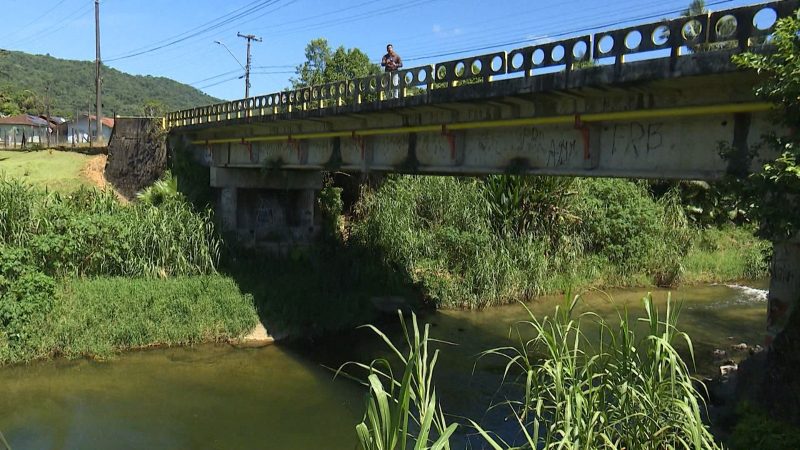 Cachorro foi jogado de ponte de altura de 12 metros 