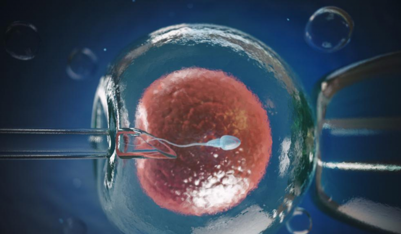 Imagem mostra óvulo sendo fecundado com espermatozoide