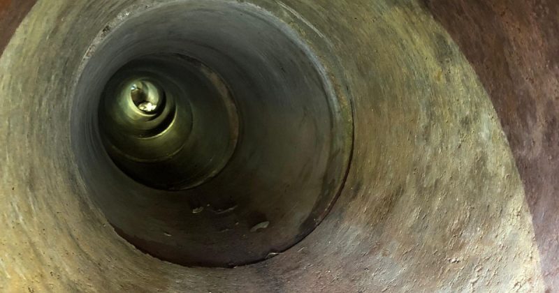 Sete filhotes de cachorro dentro de um bueiro, em Garuva, enquanto aguardam resgate do Corpo de Bombeiros Militar de Santa Catarina