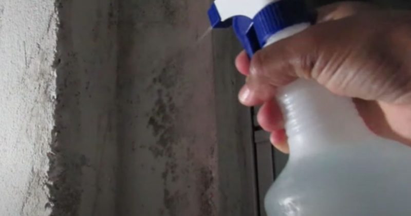 Receita s&oacute; precisa de quatro ingredientes – Foto: @dicasdaanaserpa/Reprodu&ccedil;&atilde;o/ND