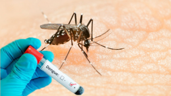 Cidade do Oeste de SC confirma mais uma morte por dengue