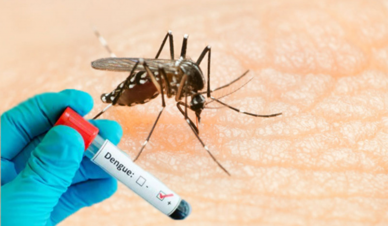 Tubarao realiza este lunes una operación de fumigación contra el mosquito del dengue