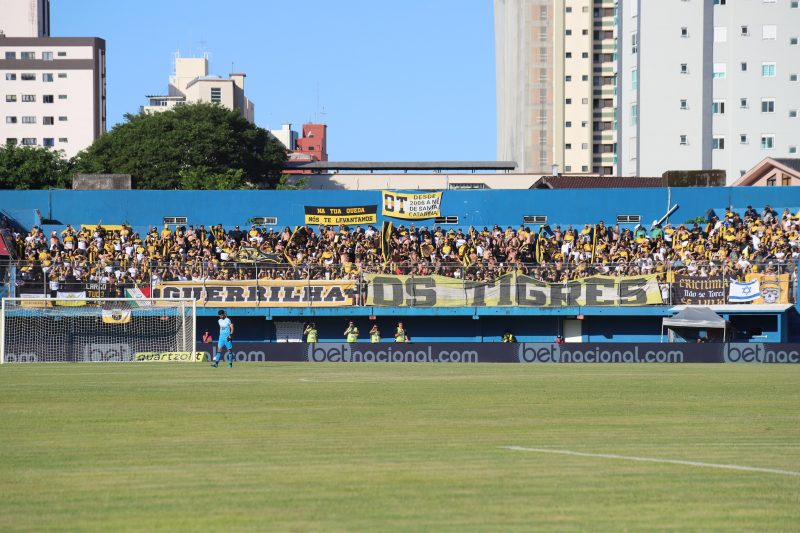 Torcida do Tigre no jogo de ida da final do Catarinense – Foto: Celso da Luz/CEC/ND