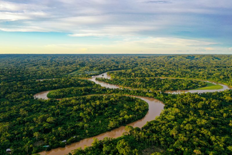 Vista panorâmica da floresta tropical e rio da Amazônia
