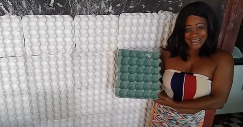 Bandeja de ovo vira decoração de parede