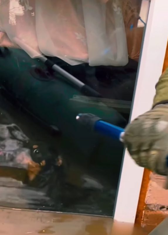 cachorro atrás de vidro tenta salvar a própria vida nadando desesperadamente