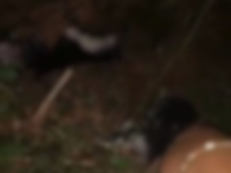 Ao lado dos cachorros filhotes, uma cadela foi encontrada pelo morador agonizando 