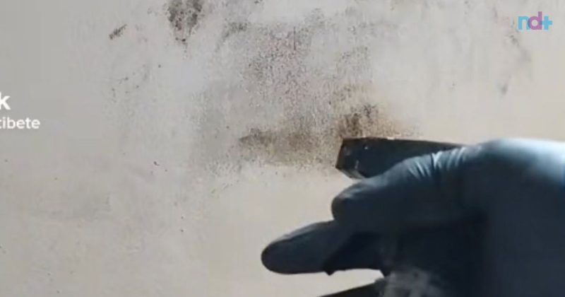 Imagem mostra técnica para retirar manchas de mofo de parede