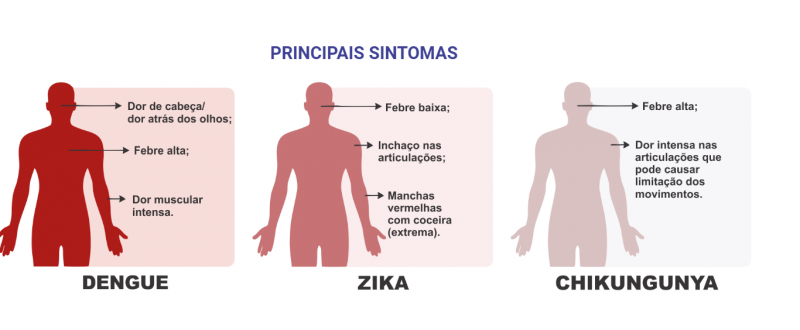 Imagem mostra principais sintomas da dengue, zica e chikungunya