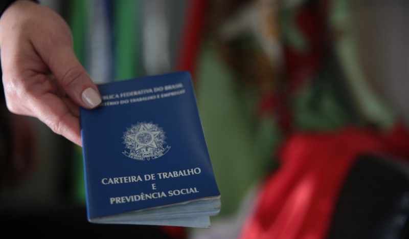 Foto mostra carteira de trabalho do Brasil sendo segurada na mão de uma mulher para ilustrar matéria sobre trabalhadores domésticos em SC