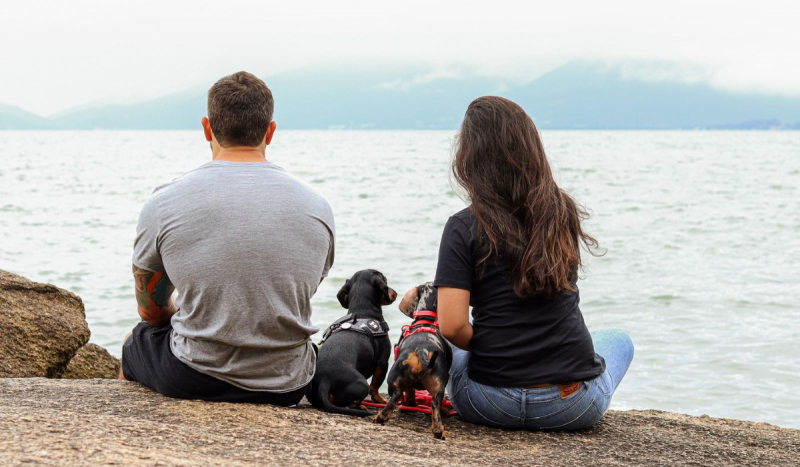 Foto mostra homem de blusa cinza e mulher de blusa preta de costas sentados ao lado de dois cães salsichas