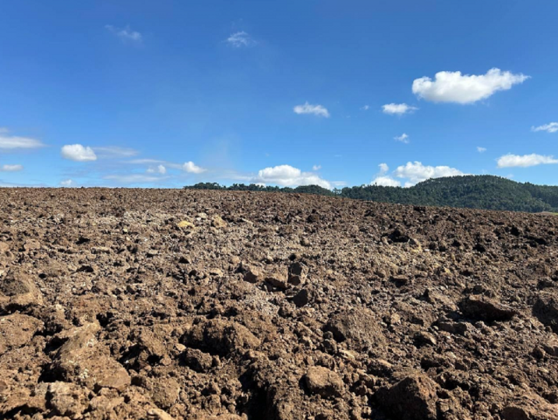 Já se inicia o ciclo do plantio da cebola em Ituporanga, a cidade tem altas expectativas - Foto: Sérgio José Willemann/Reprodução/ND