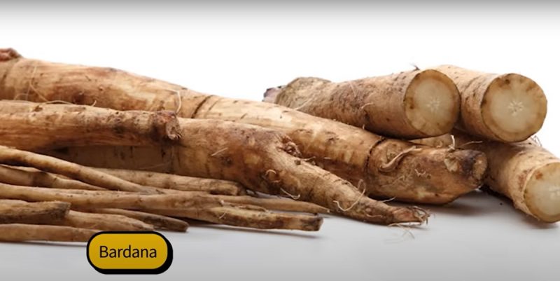 Bardana lhe dá pele de pêssego e elimina queda de cabelo