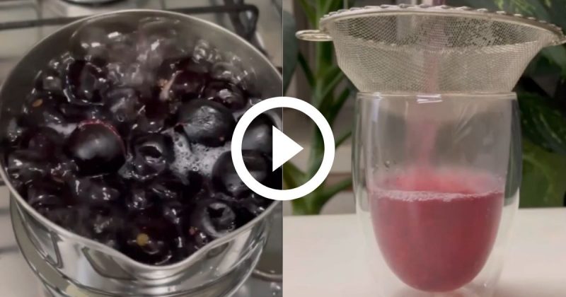 Chá delicioso de jabuticaba ajuda a aumentar imunidade