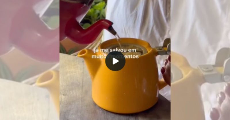 Ch&aacute; ‘poderoso’ para levantar imunidade leva 4 ingredientes e promete recupera&ccedil;&atilde;o r&aacute;pida – Foto: Internet/Reprodu&ccedil;&atilde;o/ND