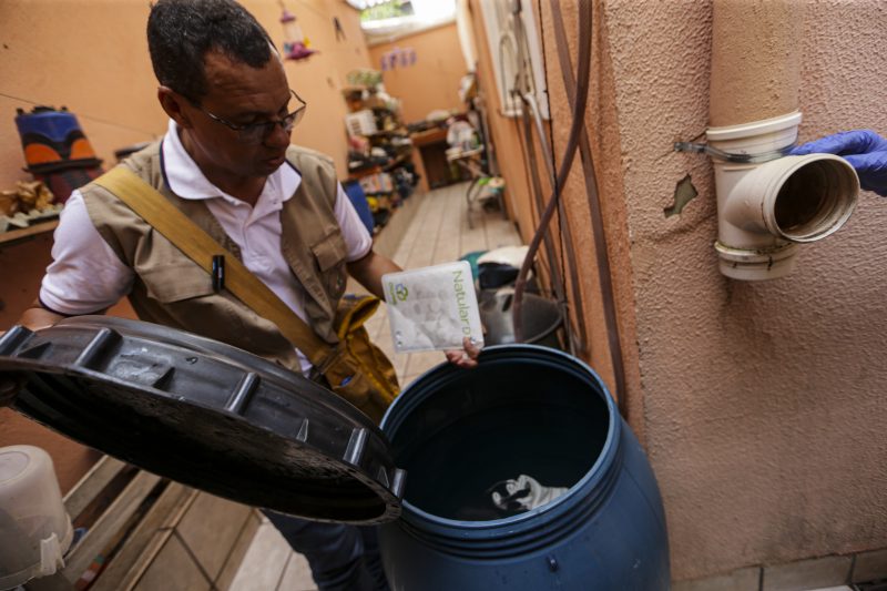 água parada é a melhor amiga da proliferação do mosquito da dengue 