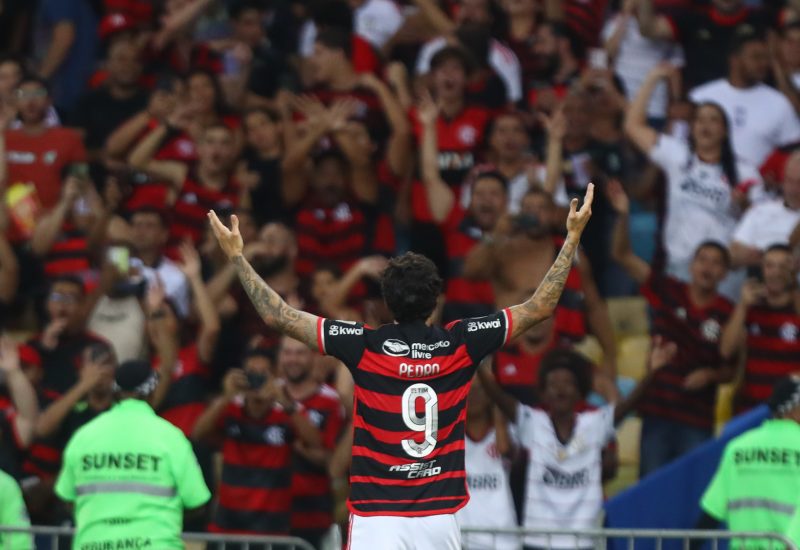 Pedro comemora gol pelo Flamengo