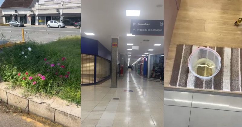 Comerciantes relatam abandono em shopping de Joinville 