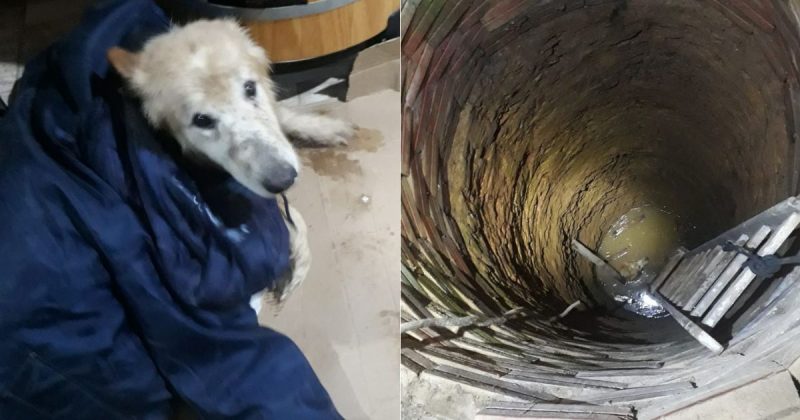 Po&ccedil;o em constru&ccedil;&atilde;o foi alvo de incidente com cachorro nesse domingo (14) – Foto: CBMSC/Divulga&ccedil;&atilde;o/ND