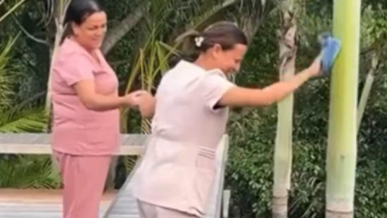 Funcionária de Carlinhos Maia debocha de vídeo limpando coqueiros e ganha 500 mil seguidores