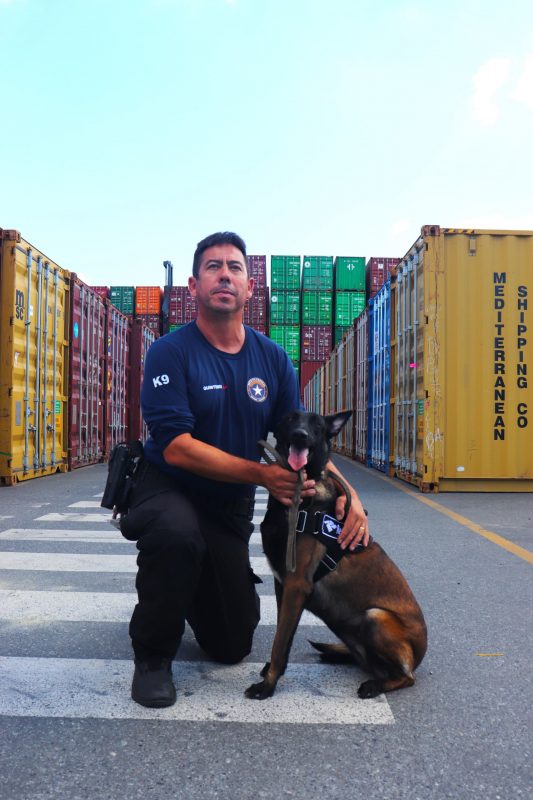 Novo cão farejador que fará inspeções de cargas no Porto de Navegantes